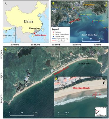 Bed level changes in the surf zone during post-storm beach recovery